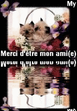 a mon ami