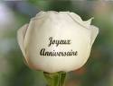 JOYEUX ANNIVERSSAIRE   JULIE